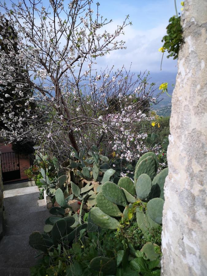 Casa Opuntia Vila Pappaygiannades Exterior foto